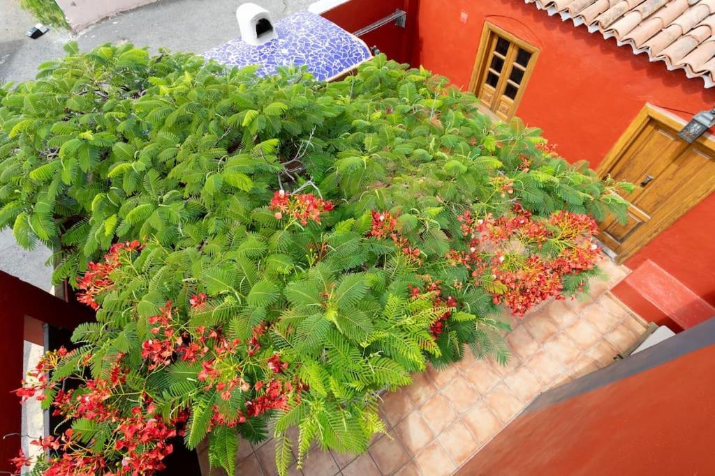 Rural House With Traditional Architecture S. XIX Santa Cruz de Tenerife Buitenkant foto